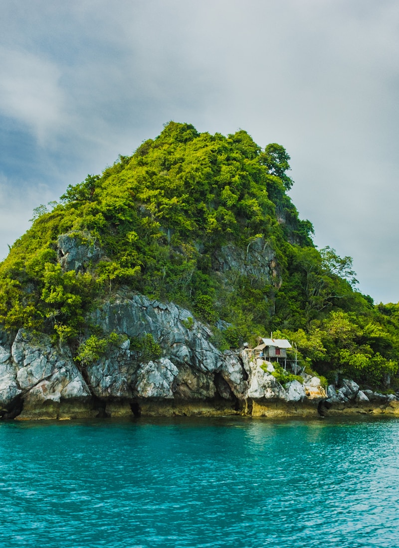 Crab Island — RAG in Rust